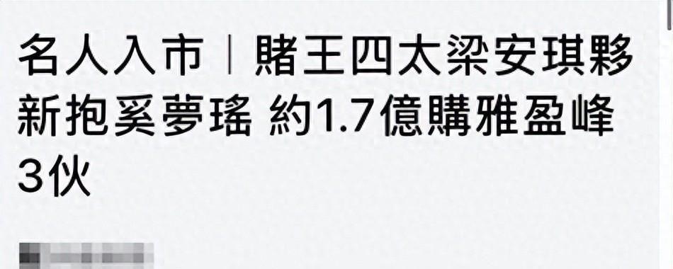 开云官网-梁安琪带奚梦瑶扫货豪宅，同层豪掷1.68亿，拿下三套李泽楷新楼盘